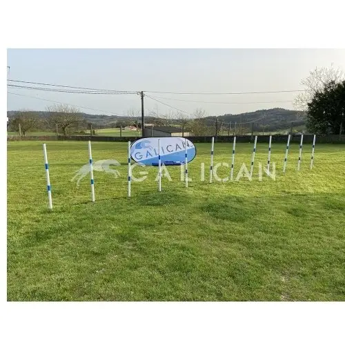 Galican trainingsset slalom Agility toestellen