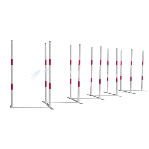 zigzag slalom galican Agility toestellen
