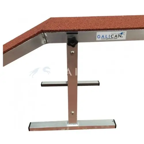 Galican Welpen-Steg