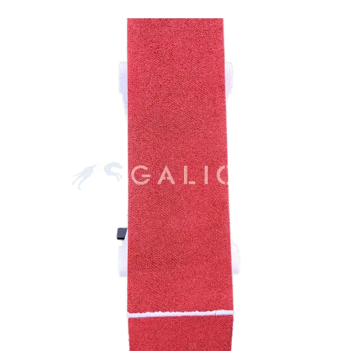 Intercan dogwalk galican agility