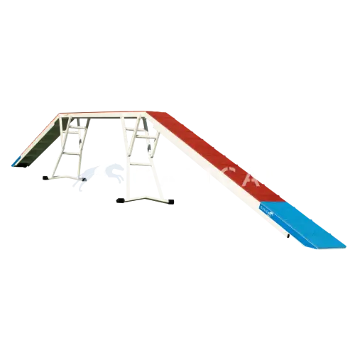 Intercan dogwalk galican agility
