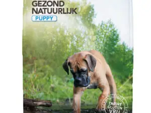 Healthy Dog Puppy - Hondenvoer