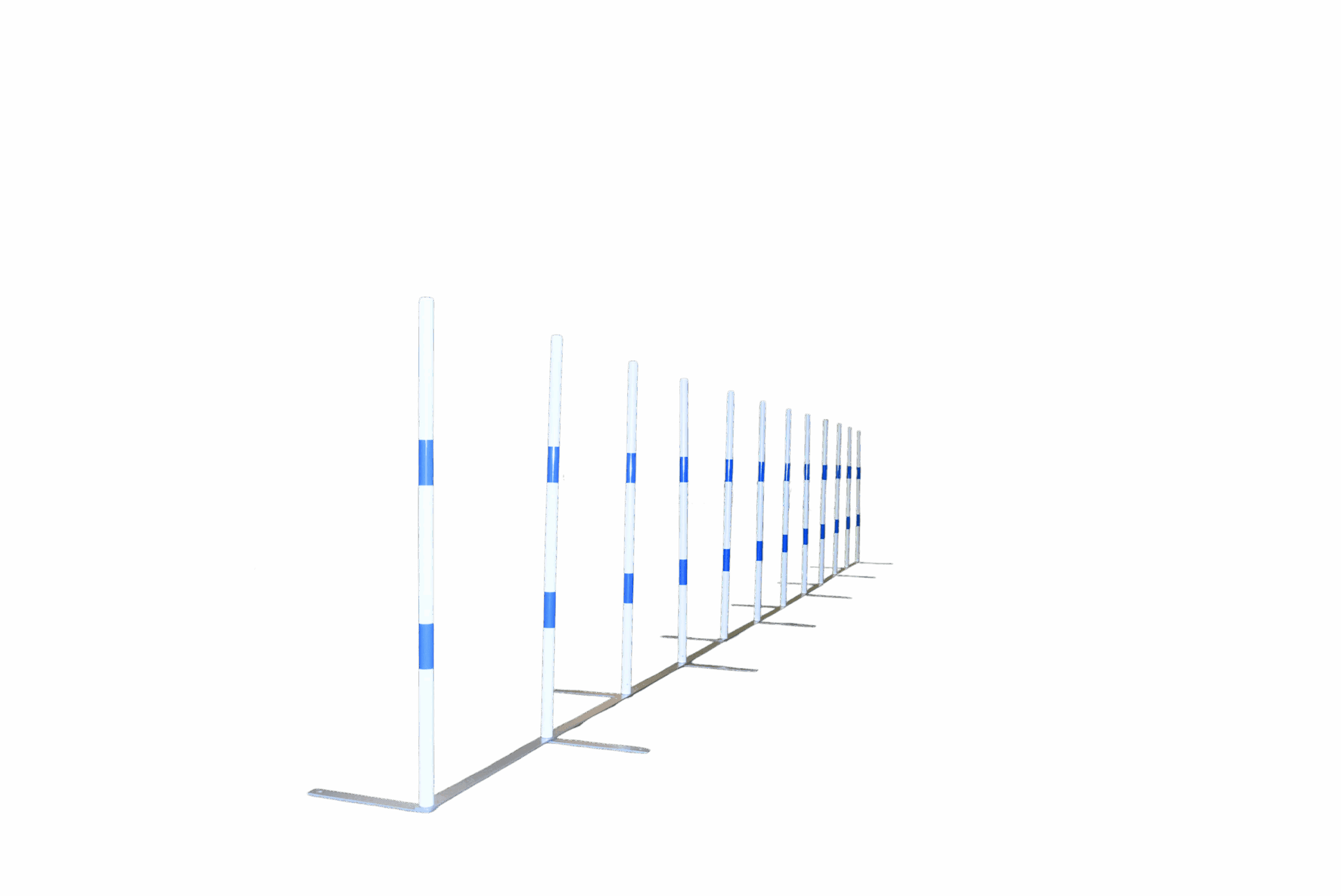 FCI Galican Competition Slalom