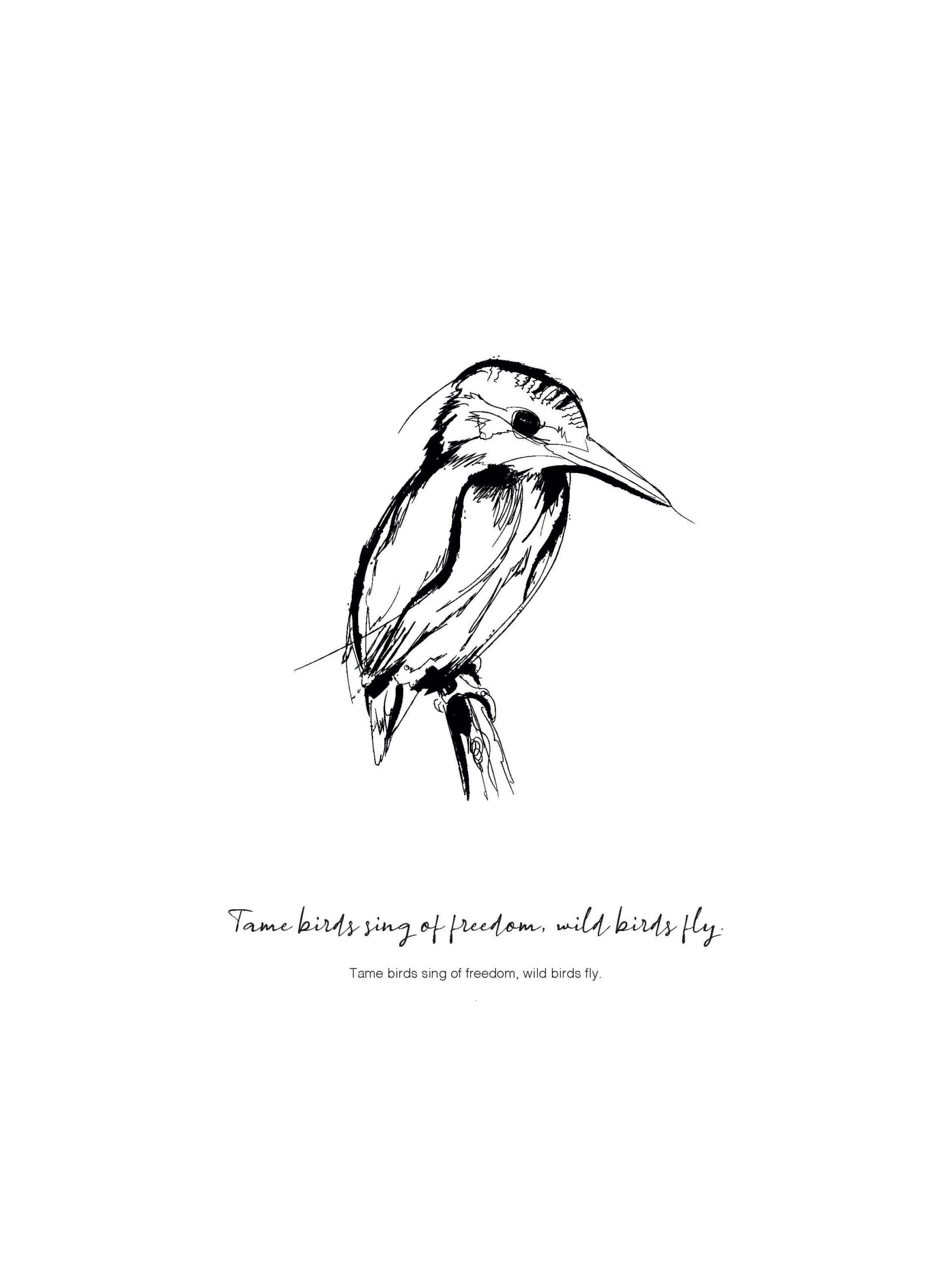 Poster paard met quote Some birds – zwart wit illustratie Studio Karel