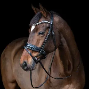 tess-products-bridle-hoofdstel-slim-black-black-1