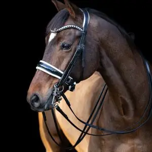tess-products-double-bridle-hoofdstel-slim-black-white