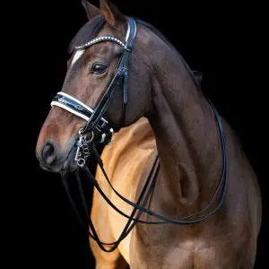 tess-products-double-bridle-hoofdstel-slim-black-white-1