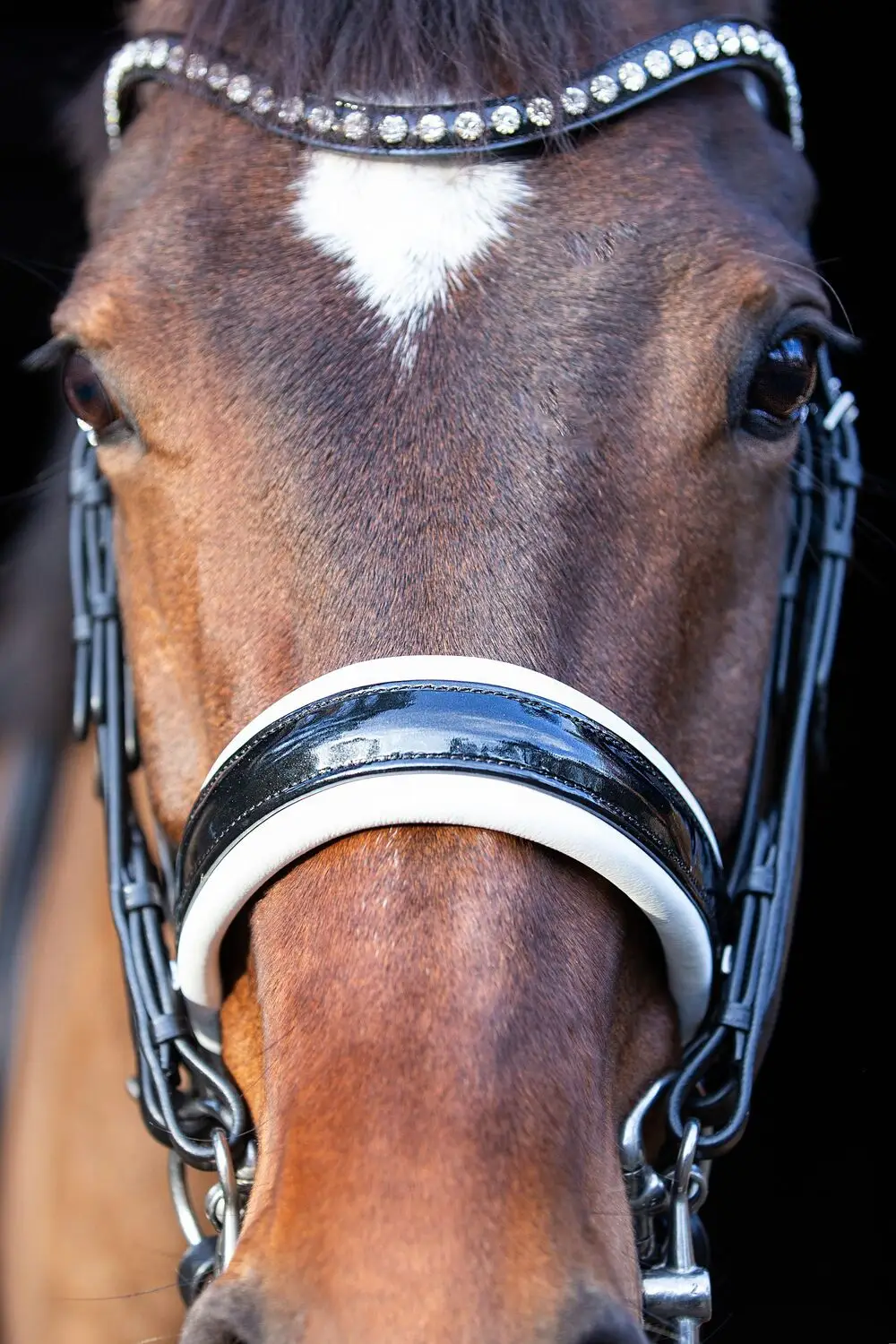 tess-products-double-bridle-hoofdstel-slim-black-white-2