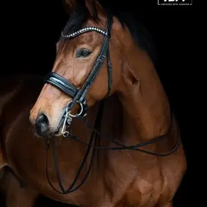 tess-products-double-bridle-hoofdstel-slim-black-black