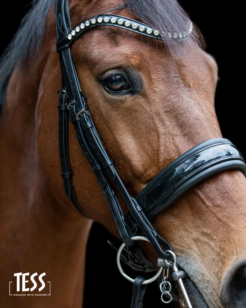 tess-products-double-bridle-hoofdstel-slim-black-black-1