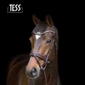 tess-products-bridle-hoofdstel-jumping-brown