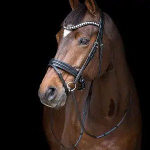 tess-products-bridle-hoofdstel-jumping-black-2