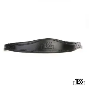 TESS Headpiece