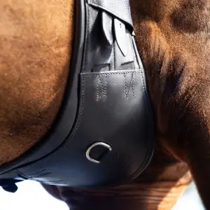 TESS Dressage Girth Boomerang