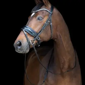 tess-products-bridle-hoofdstel-wide-black-black