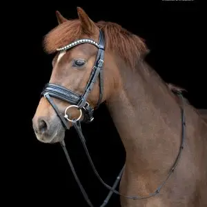 tess-products-bridle-hoofdstel-pony-black-black