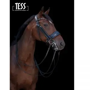 TESS Double Bridle WIDE Black/Black