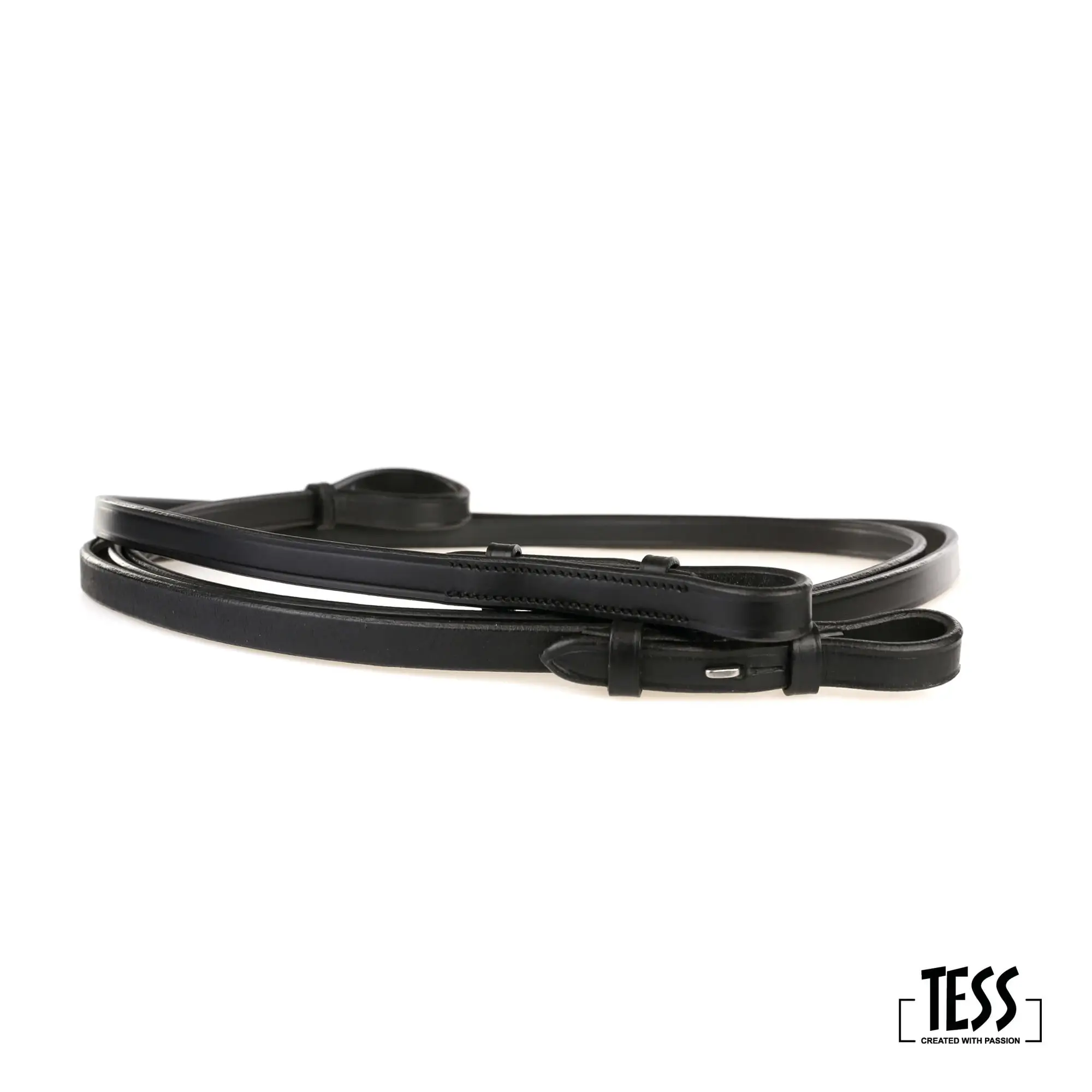 tess-stang-en-trens-teugel-stang