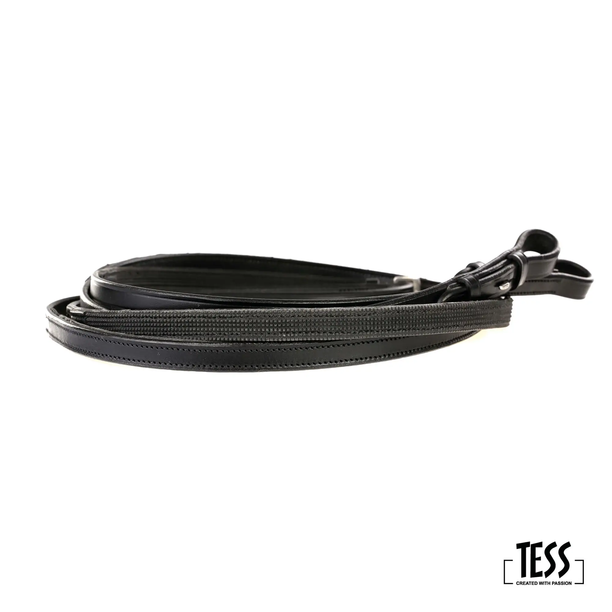 tess-stang-en-trens-teugel-trens