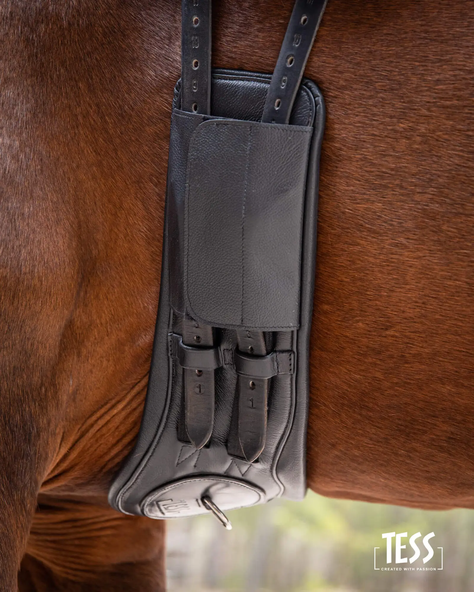 dressage-girth-pressure-relief-new-2