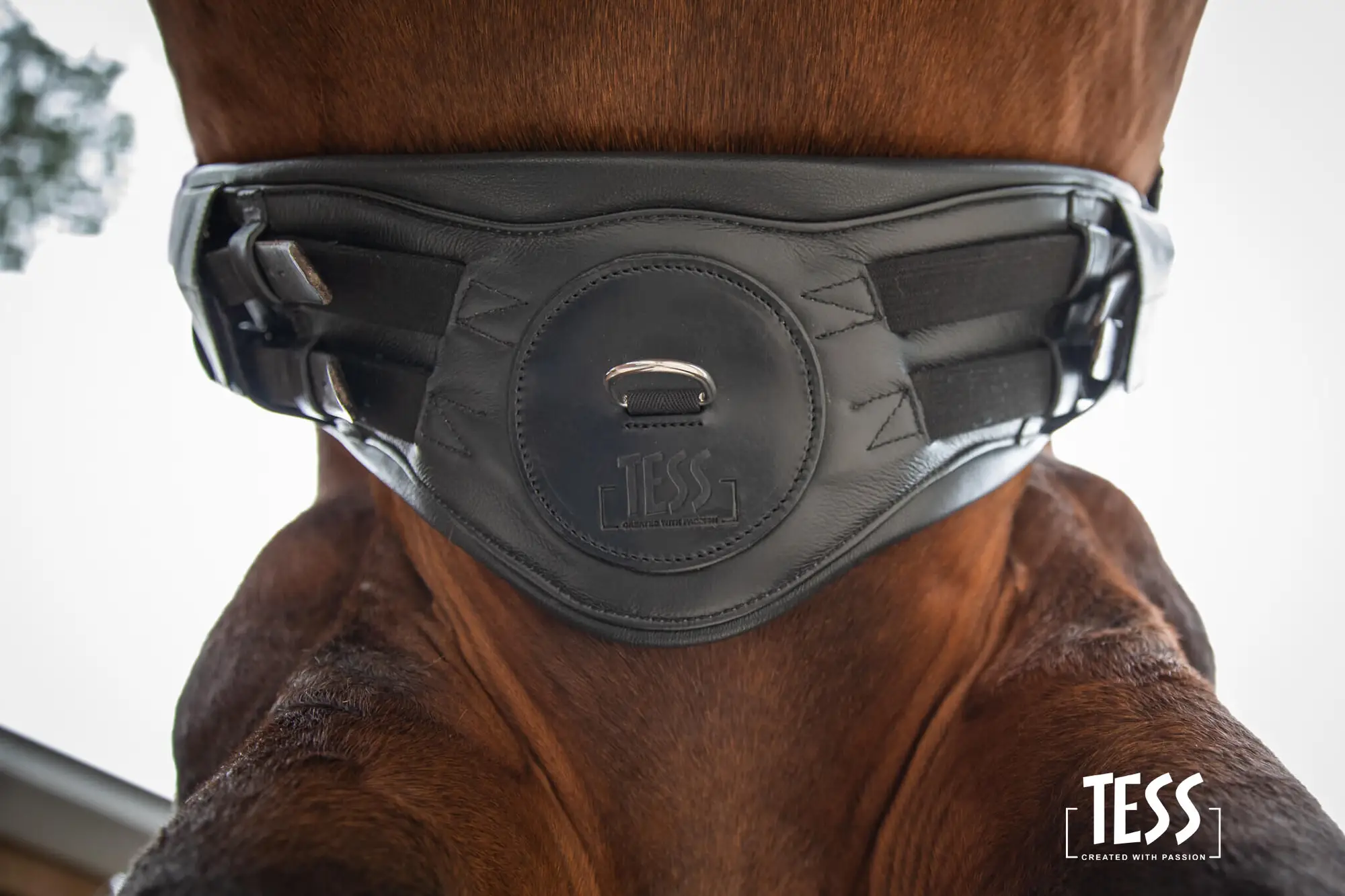 dressage-girth-pressure-relief-new-3