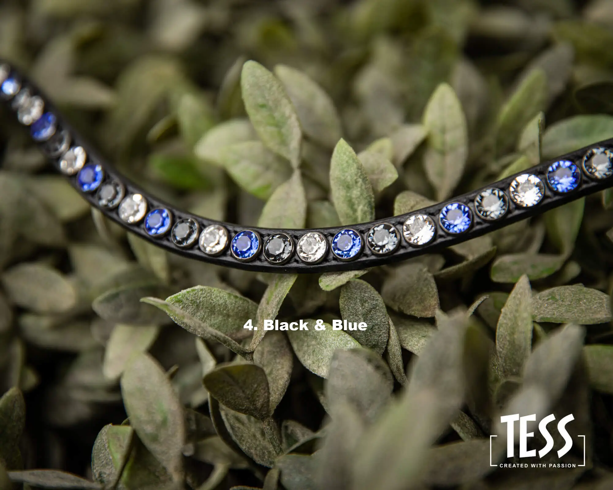 TESS-Browband-Black-Blue