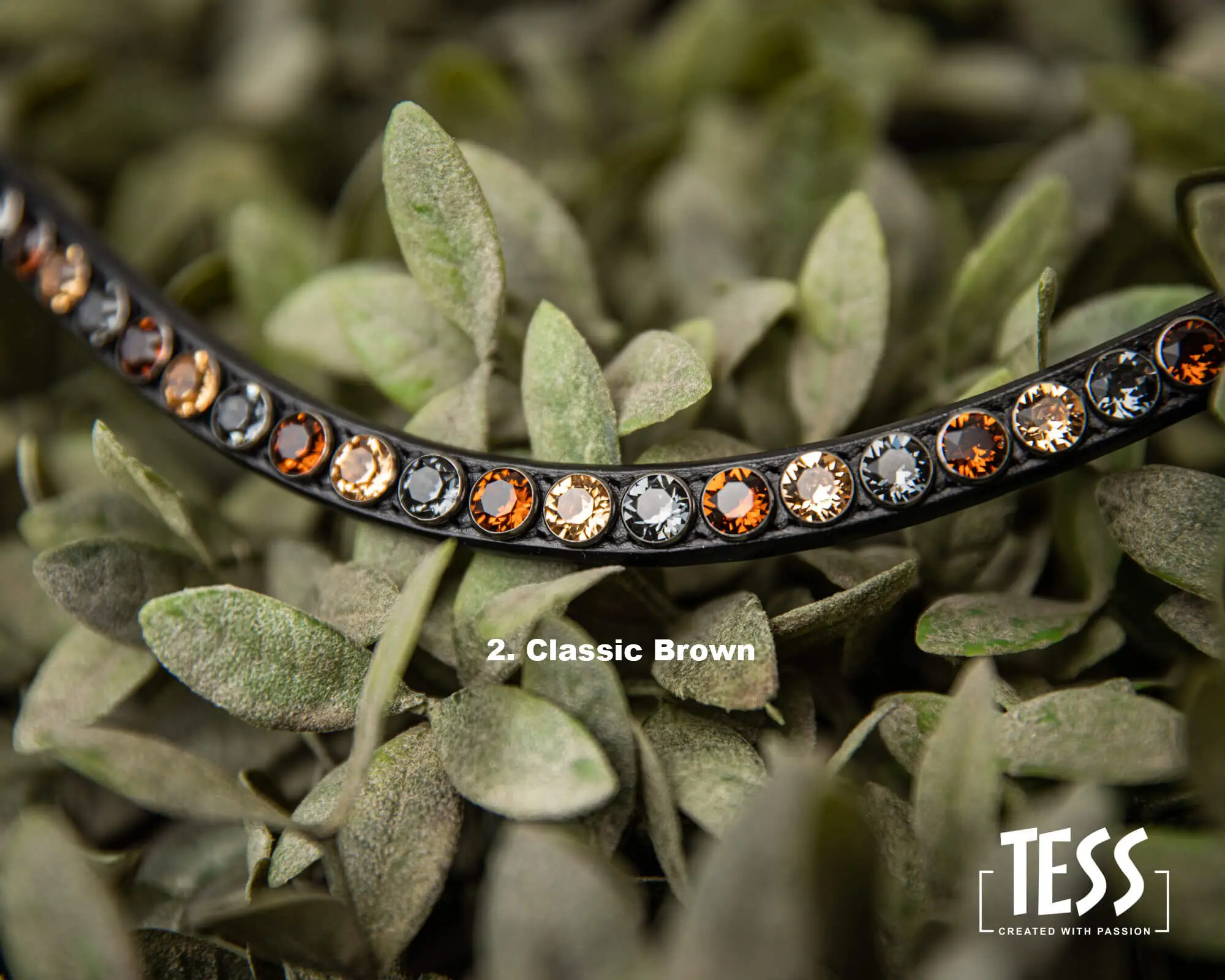 TESS-Browband-Classic-Brown