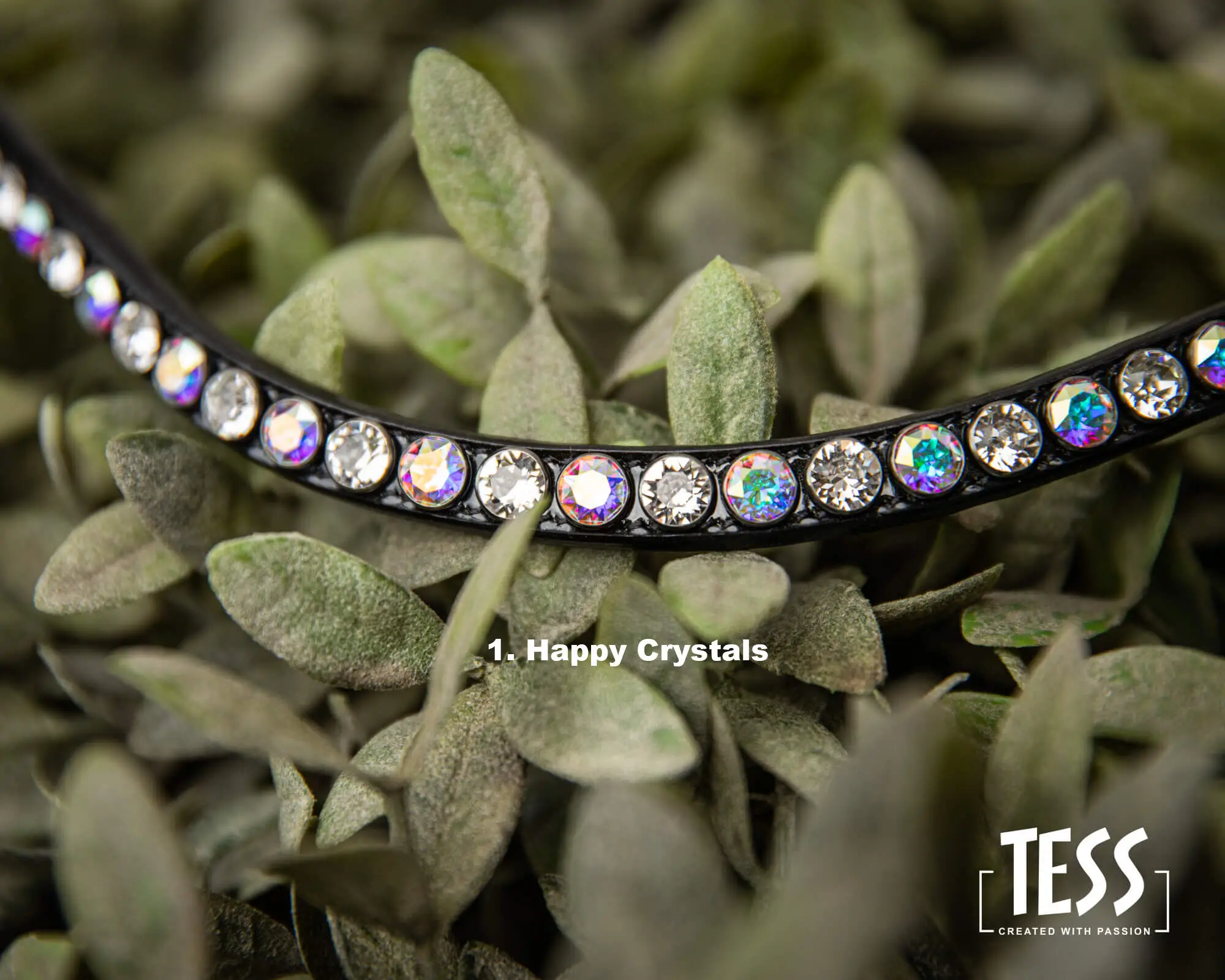 TESS-Browband-Happy-Crystals
