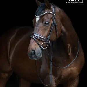 tess-trens-slim-bridle-brown-patent