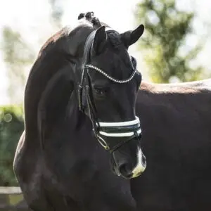 tess-bridle-trens-hoofdstel-wide-black-white-swarovski-frontriem