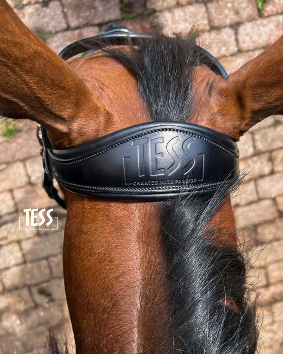 tess-products-kopstuk-anatomisch