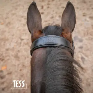 tess-products-kopstuk-deluxe-narrow-2