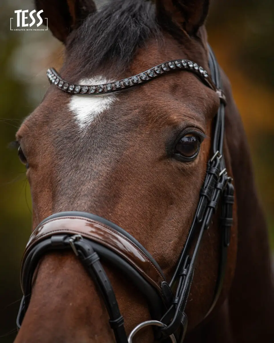 tess-products-snaffle-bridle-special-deluxe-perfect-brown-2