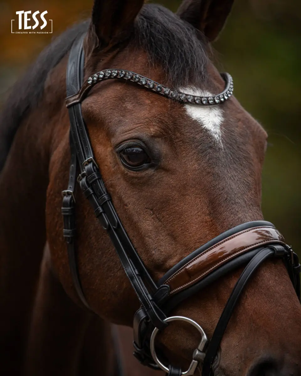 tess-products-snaffle-bridle-special-deluxe-perfect-brown-3