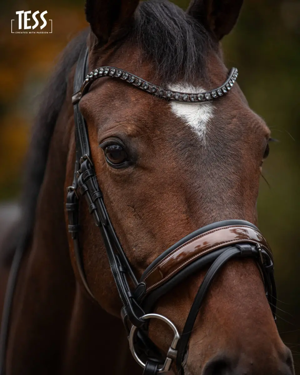 tess-products-snaffle-bridle-special-deluxe-perfect-brown-4