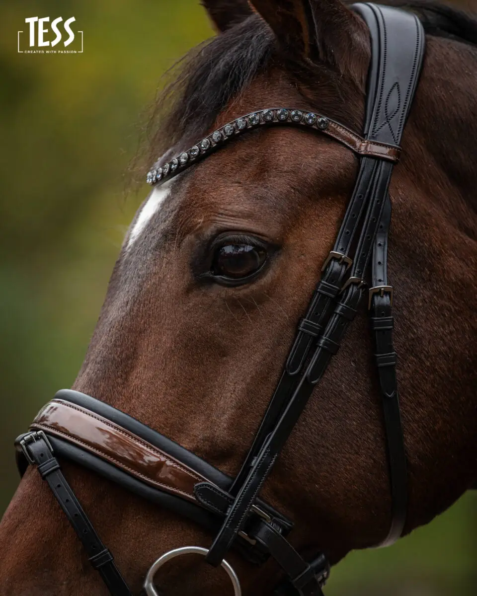 tess-products-snaffle-bridle-special-deluxe-perfect-brown-5