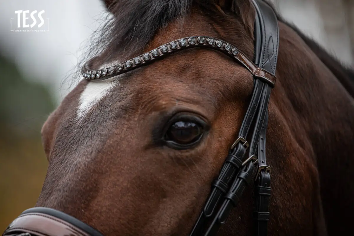 tess-products-snaffle-bridle-special-deluxe-perfect-brown-6