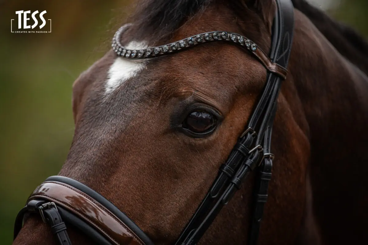 tess-products-snaffle-bridle-special-deluxe-perfect-brown-8
