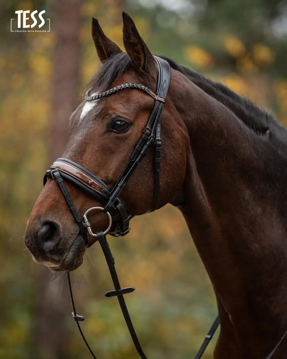 tess-products-snaffle-bridle-special-deluxe-perfect-brown