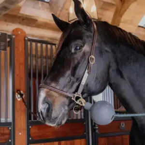 tess-products-kentucky-horsewear-rubber-ball-protection