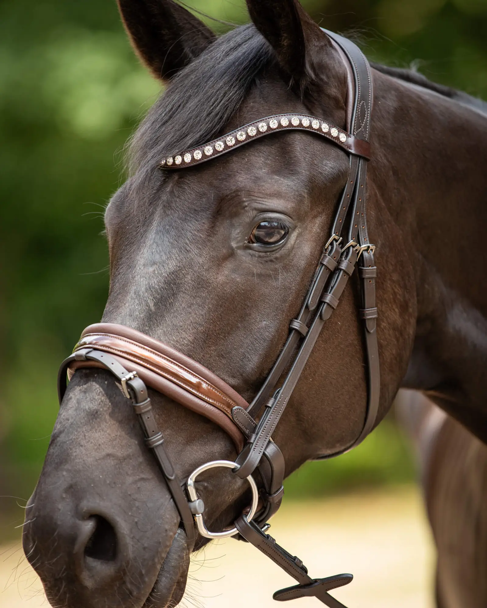 Trens Bridle Custom Ultra Slim Brown | TESS Products - Afbeelding 5