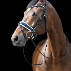 Tess-Bridle-Slim-Black-White-1