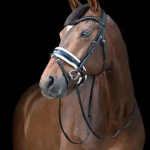 Tess-Bridle-Wide-Black-White