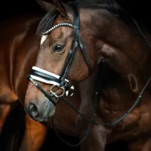 tess-trens-wide-bridle-black-white-matt