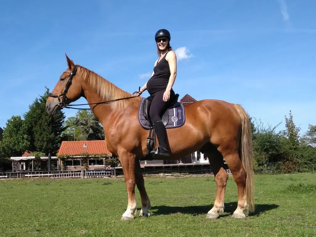 Zwangere ruiter te paard afbeelding ten behoeve van artikel van zorgnetwerk voor ruiters