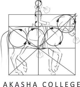 akasha-college-logo-276x300