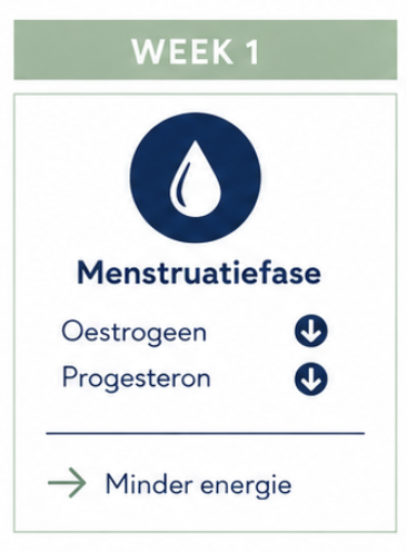 Menstruatiecyclus in beeld