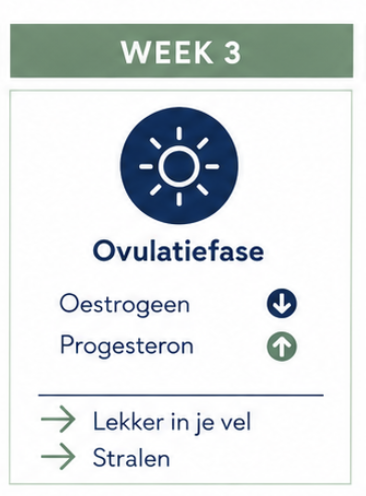 Menstruatiecyclus in beeld
