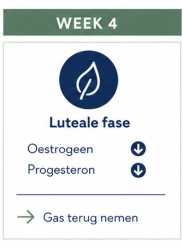 Menstruatiecyclus in beeld
